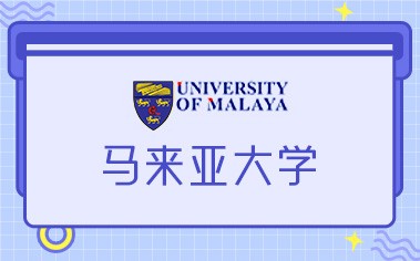 马来亚大学项目概况